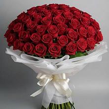 Букет 101 Красная роза Блэк Мэджик в Одоев
