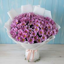Букет цветов из:  Хризантемы в Одоев