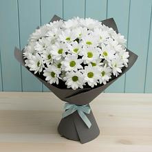 Букет цветов из:  Хризантемы в Одоев