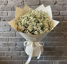 Букет цветов из:  Ромашки в Одоев