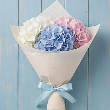 Букет цветов из:  Гортензия в Одоев