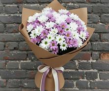 Букет цветов из:  Хризантемы в Одоев