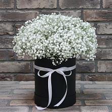 Цветочная композиция из Гипсофила в шляпной коробке в Одоев