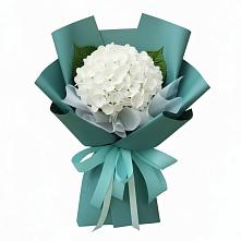 Букет цветов из:  Гортензия в Одоев